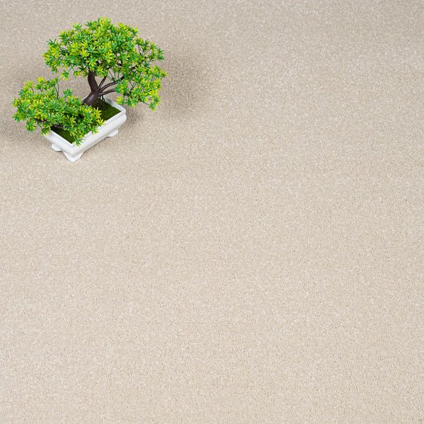 Stainfree Caress Carpet by Abingdon
