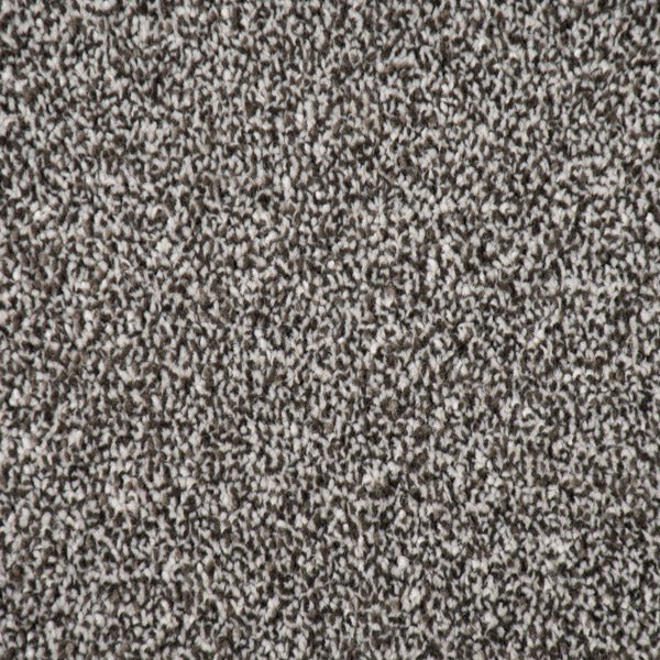Coast Twist Carpet Clearance