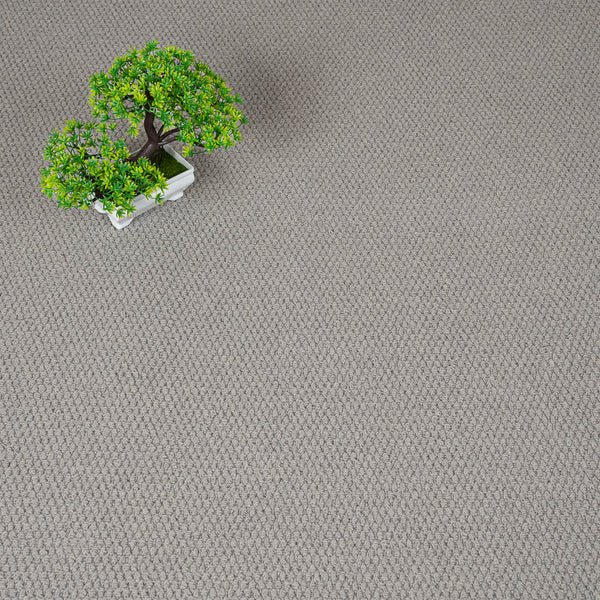 Florida Loop Carpet