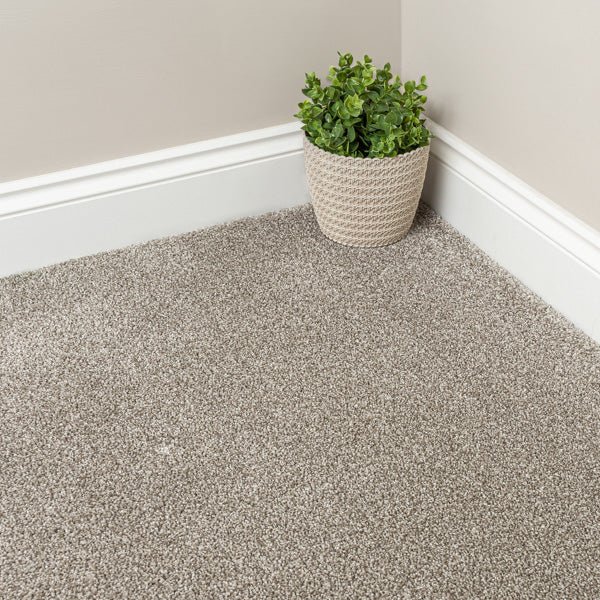Saxony Carpets